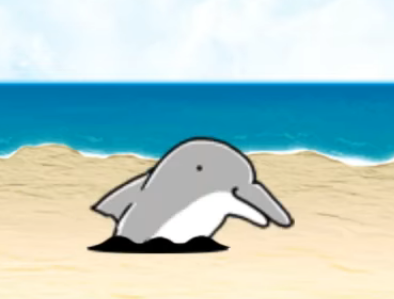 Dolphina
