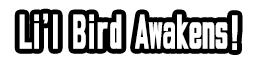 Li'l Bird Awakens!